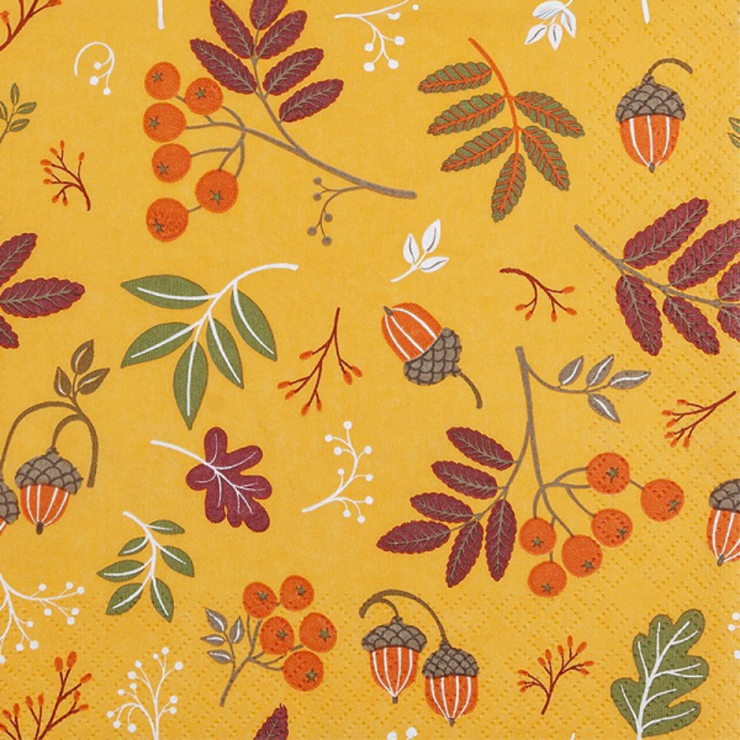 Paper Napkins 33cm, Autumn Orange *ETA Nov image 0